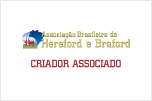 ABHB Promove 9ª Jornada de Atualização Para Inspetores Técnicos