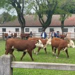 91ª Exposição agropecuária de Dom Pedrito – Farm Show 2024 abre inscrições