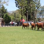 Inscrições abertas para a 112ª Expofeira de Bagé