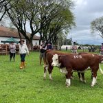 Conheça os campeões da 91ª Exposição agropecuária de Dom Pedrito – Farm Show