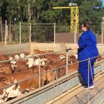 Inscrições abertas para o XI Concurso de Carcaças Carne Certificada Hereford etapa Frigorifico Silva