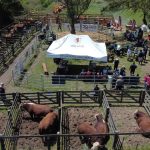 6ª Edição do Shopping Dom Vitor é Realizada em Santa Vitória do Palmar