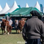 ABHB divulga lista de jurados para votação das Exposições Nacional Hereford e 48ª Expointer